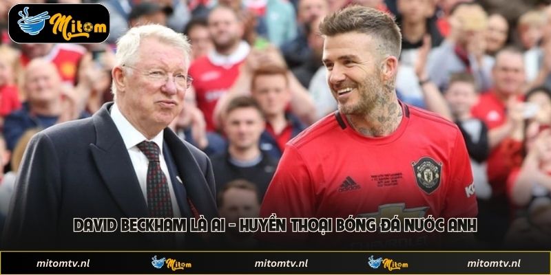 David Beckham Là Ai - Huyền Thoại Bóng Đá Nước Anh