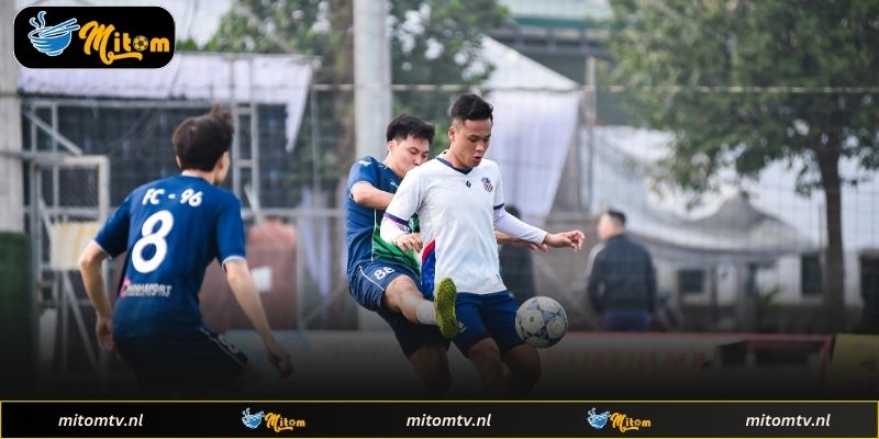 Hướng dẫn sử dụng hiệu quả tại Sannha