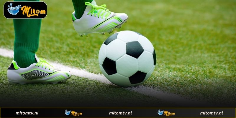 Phương pháp phân tích tỷ lệ bóng đá hiệu quả